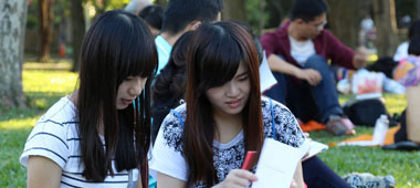 卡密网站推荐的自动攻击网站工具下载