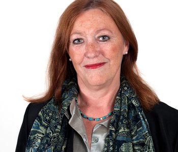 仓储管理平台的免费ddos网页端