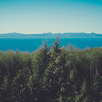 服务器攻击软件