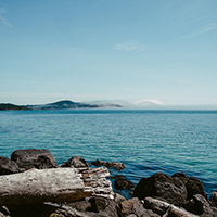 自动记忆习惯的DDOS网页端源码