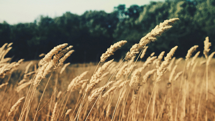 【绿色版】纯净的DDOS网页端源码